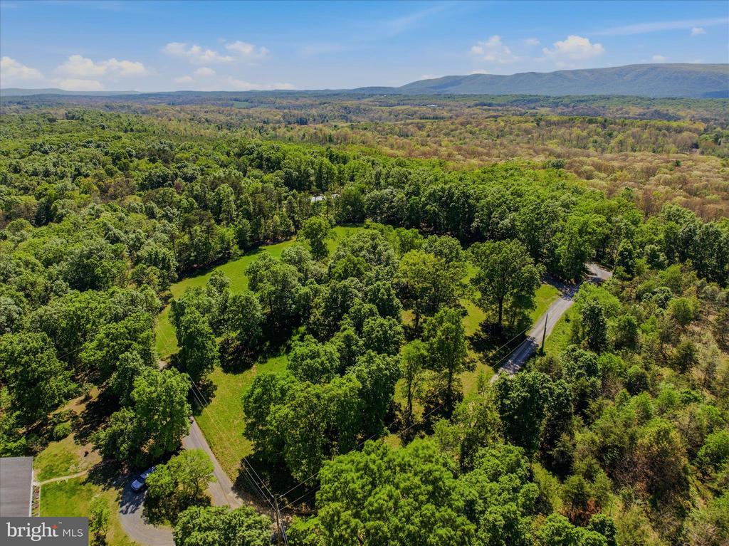 FORESTVIEW LANE
