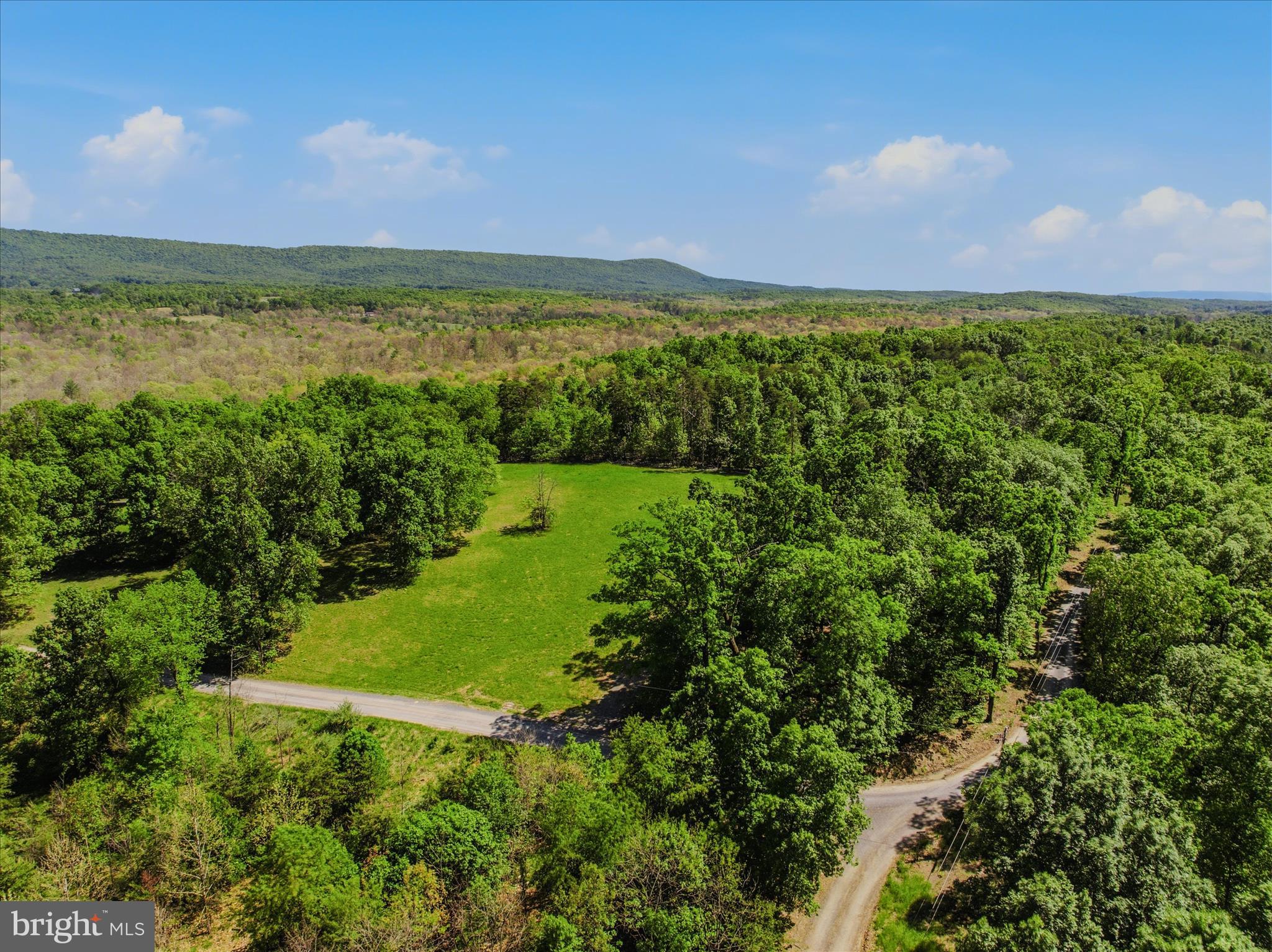 FORESTVIEW LANE