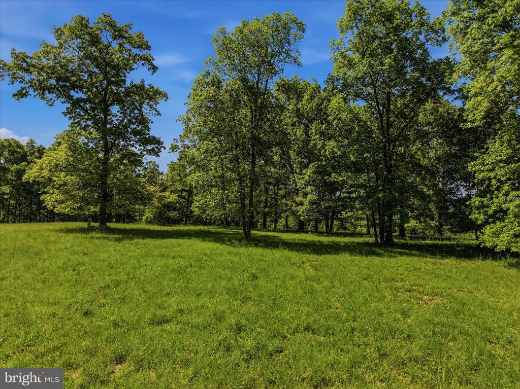 FORESTVIEW LANE