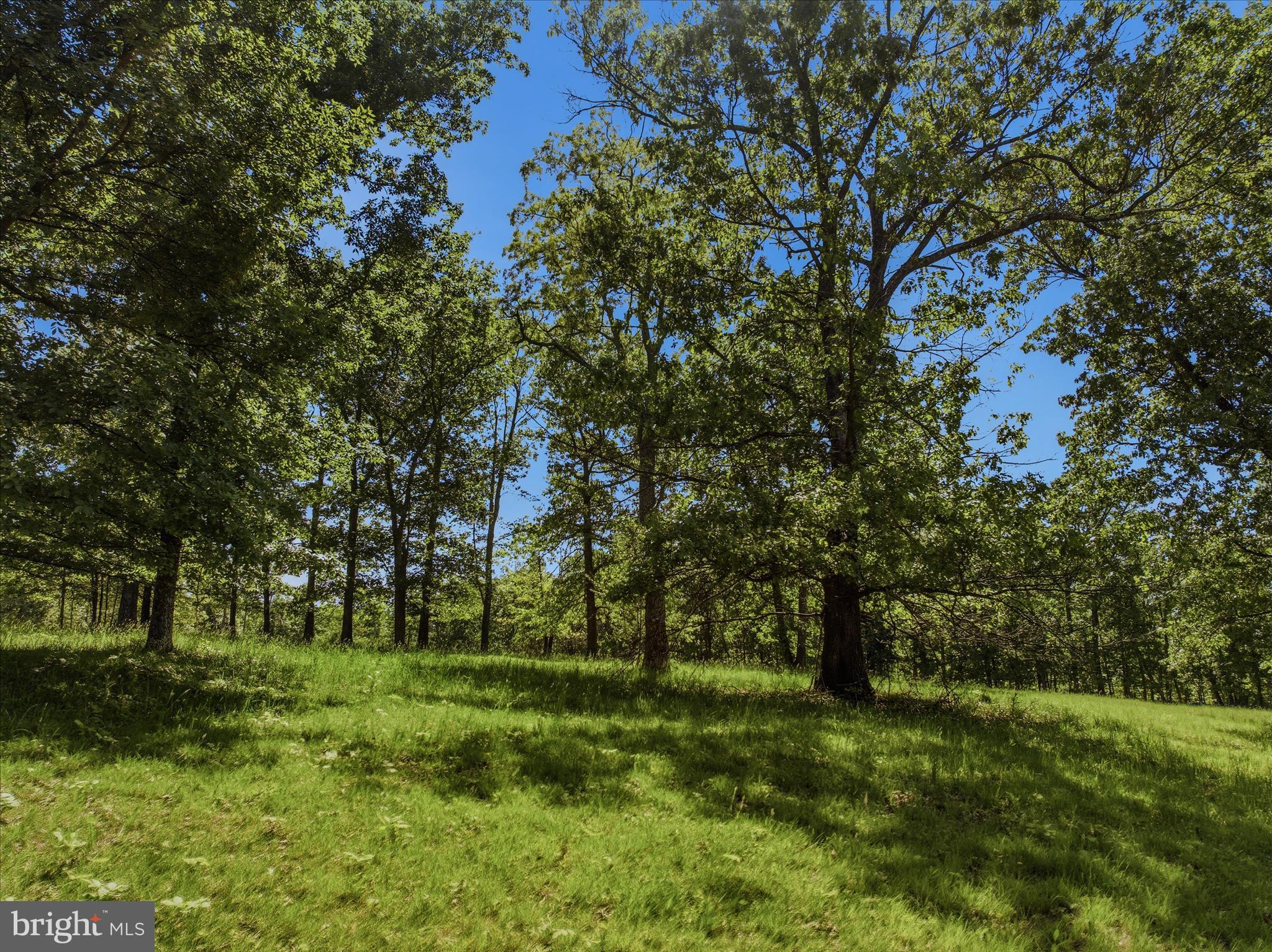FORESTVIEW LANE