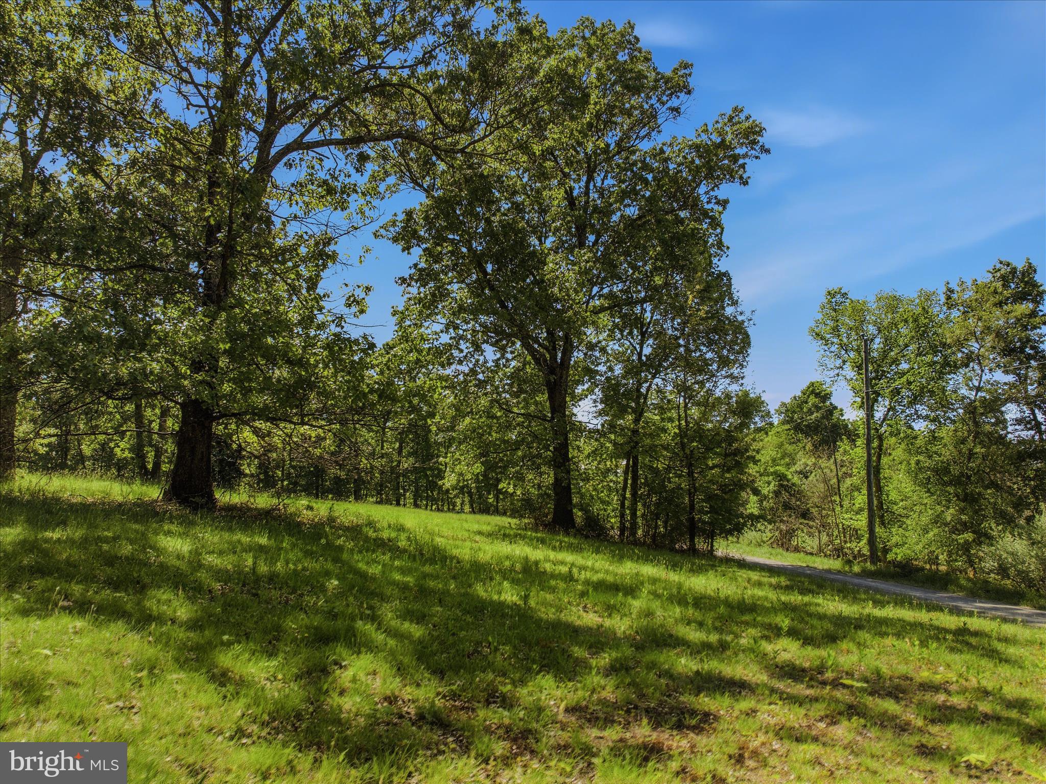 FORESTVIEW LANE