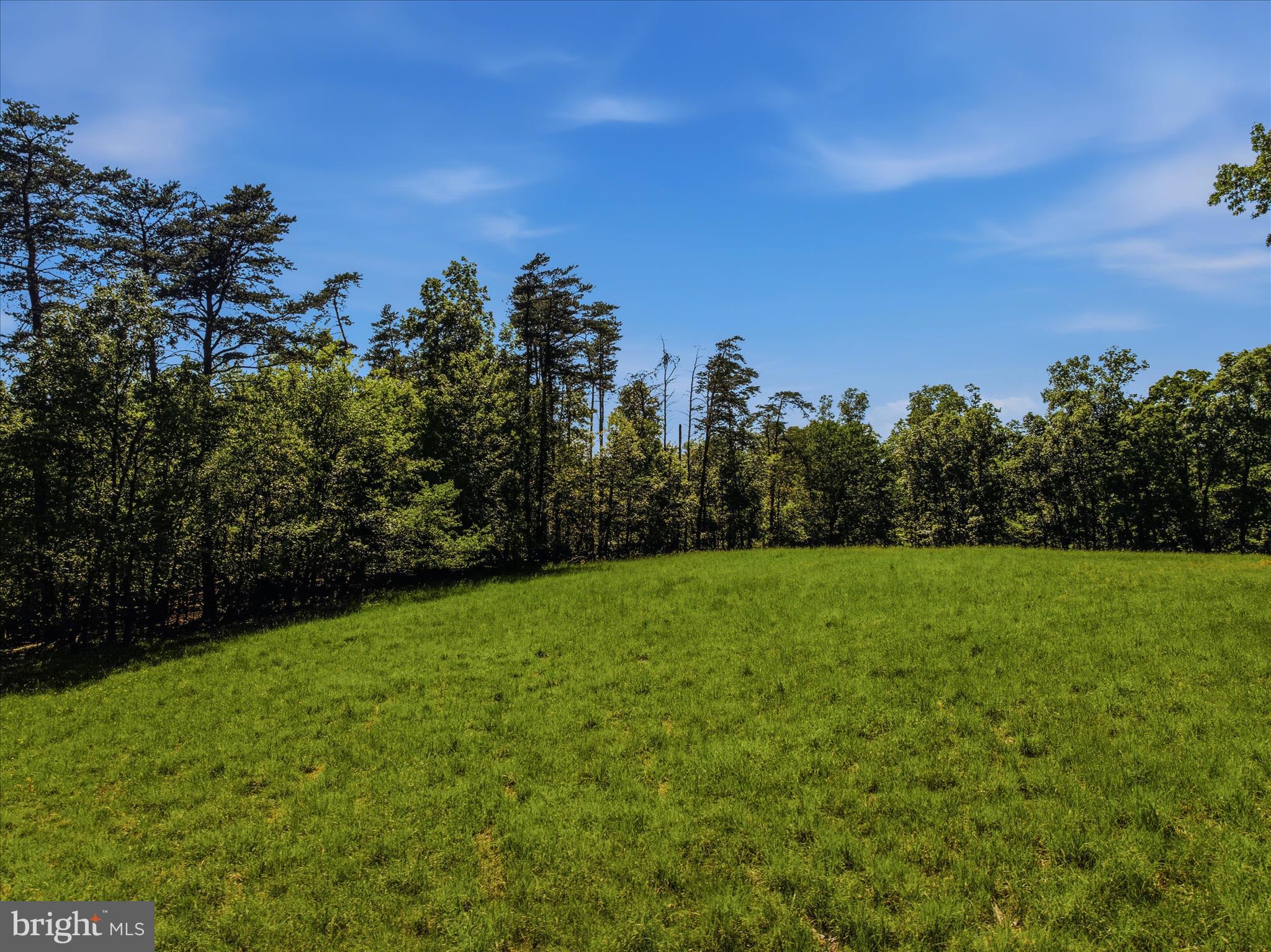 FORESTVIEW LANE
