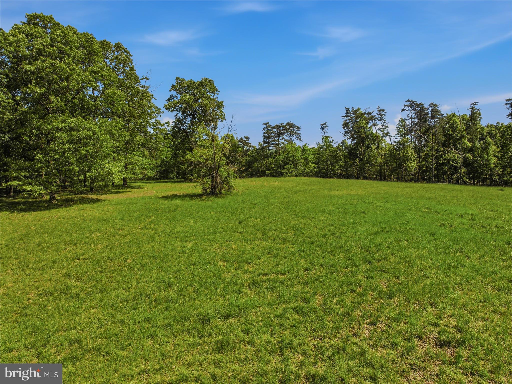 FORESTVIEW LANE