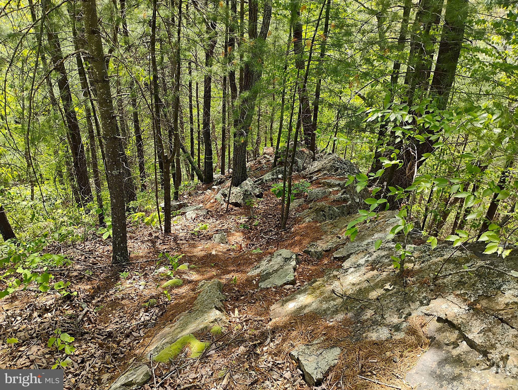 SIR JOHNS RUN RD