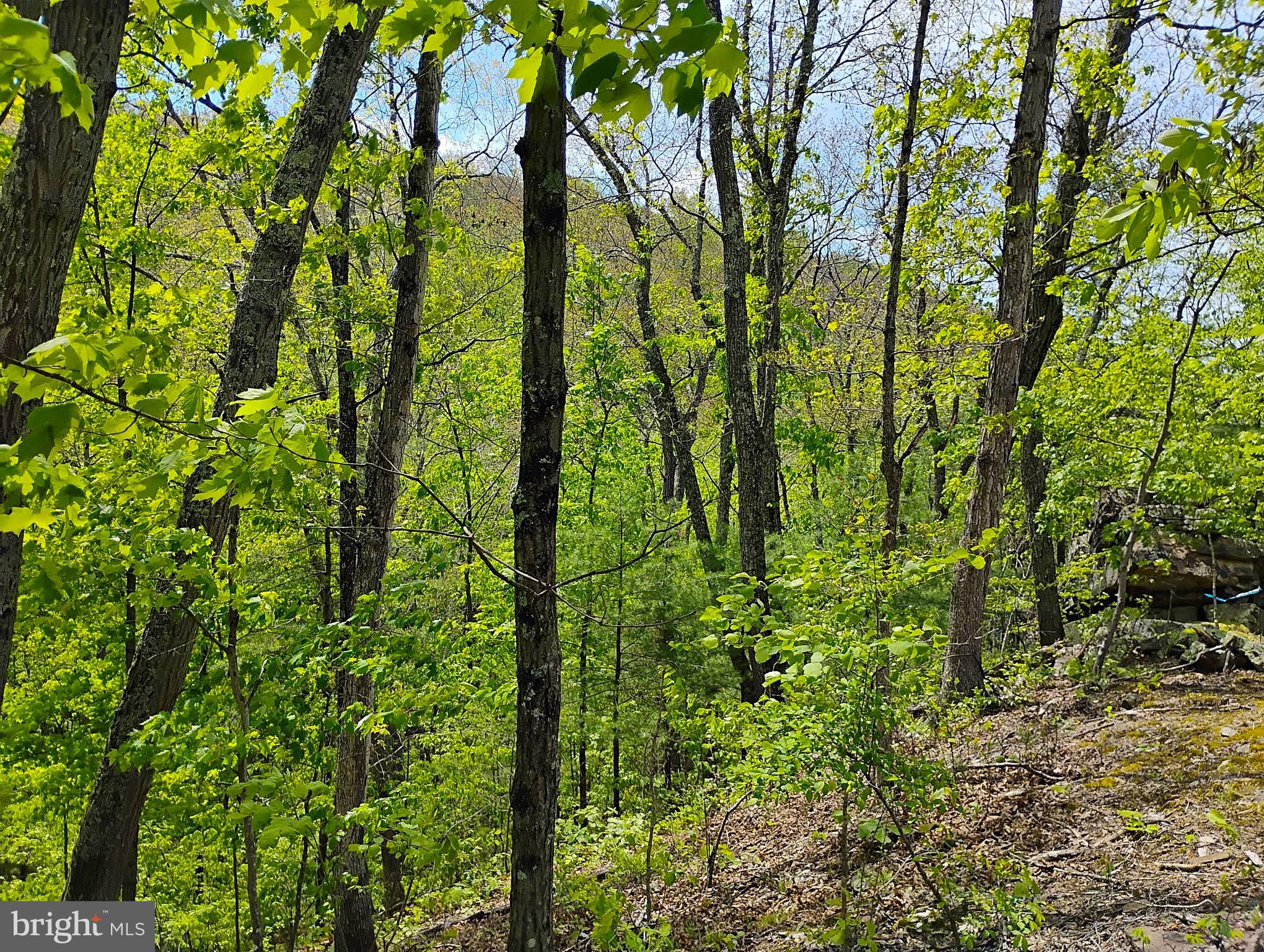 SIR JOHNS RUN RD