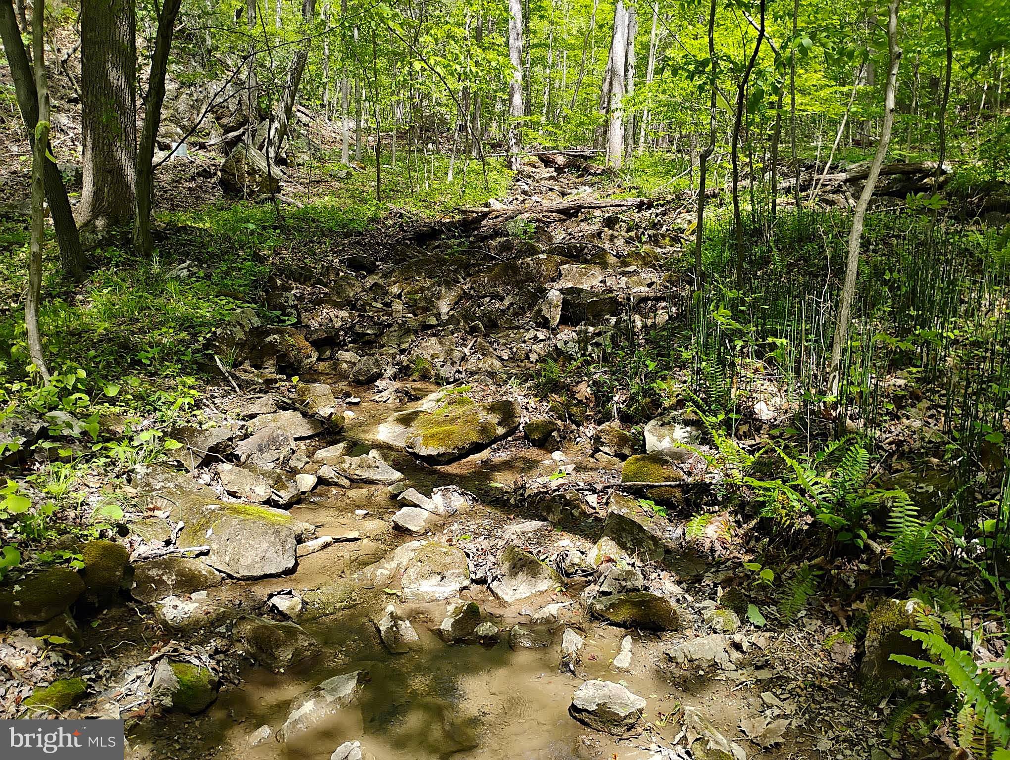 SIR JOHNS RUN RD