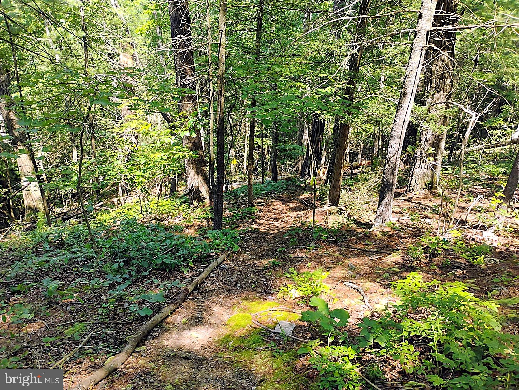 SIR JOHNS RUN RD