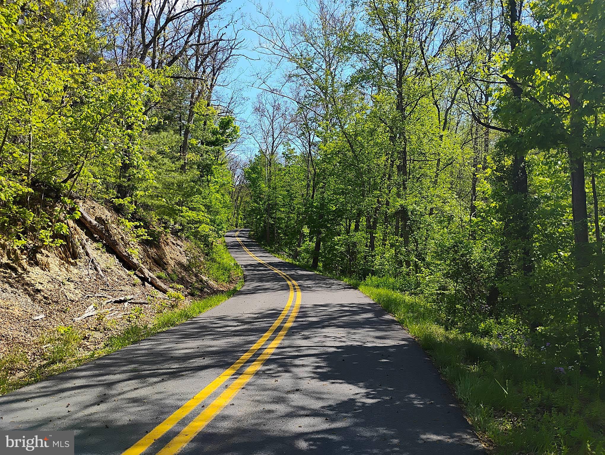SIR JOHNS RUN RD