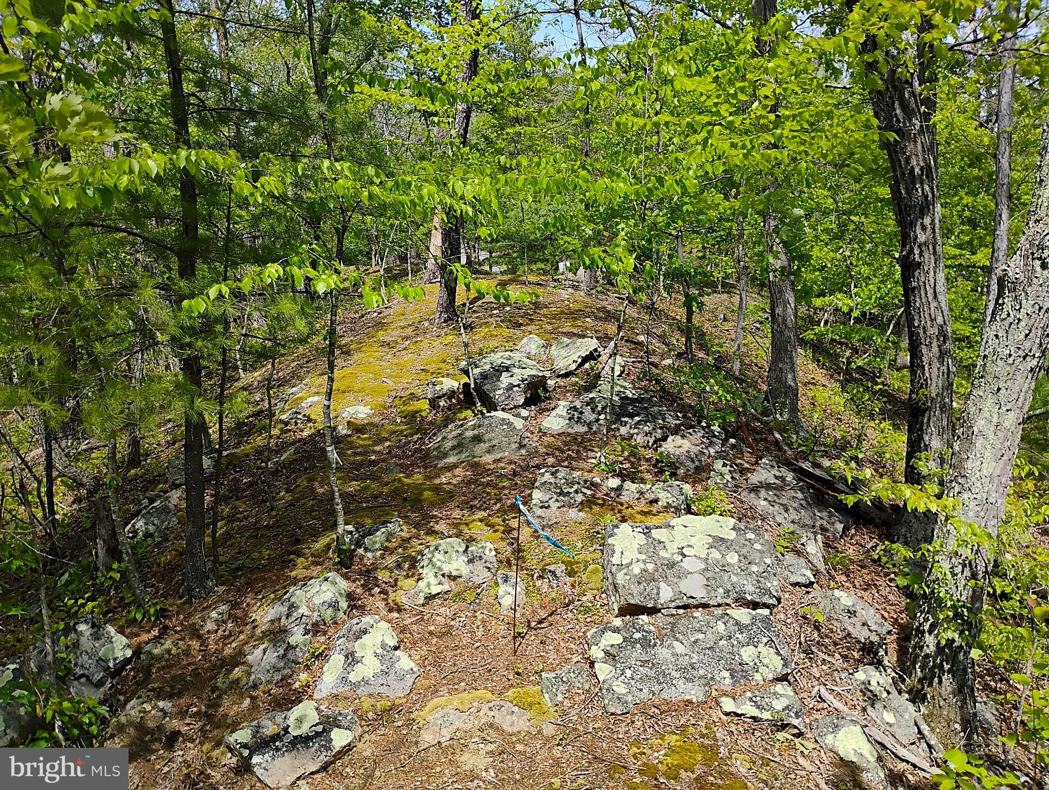 SIR JOHNS RUN RD
