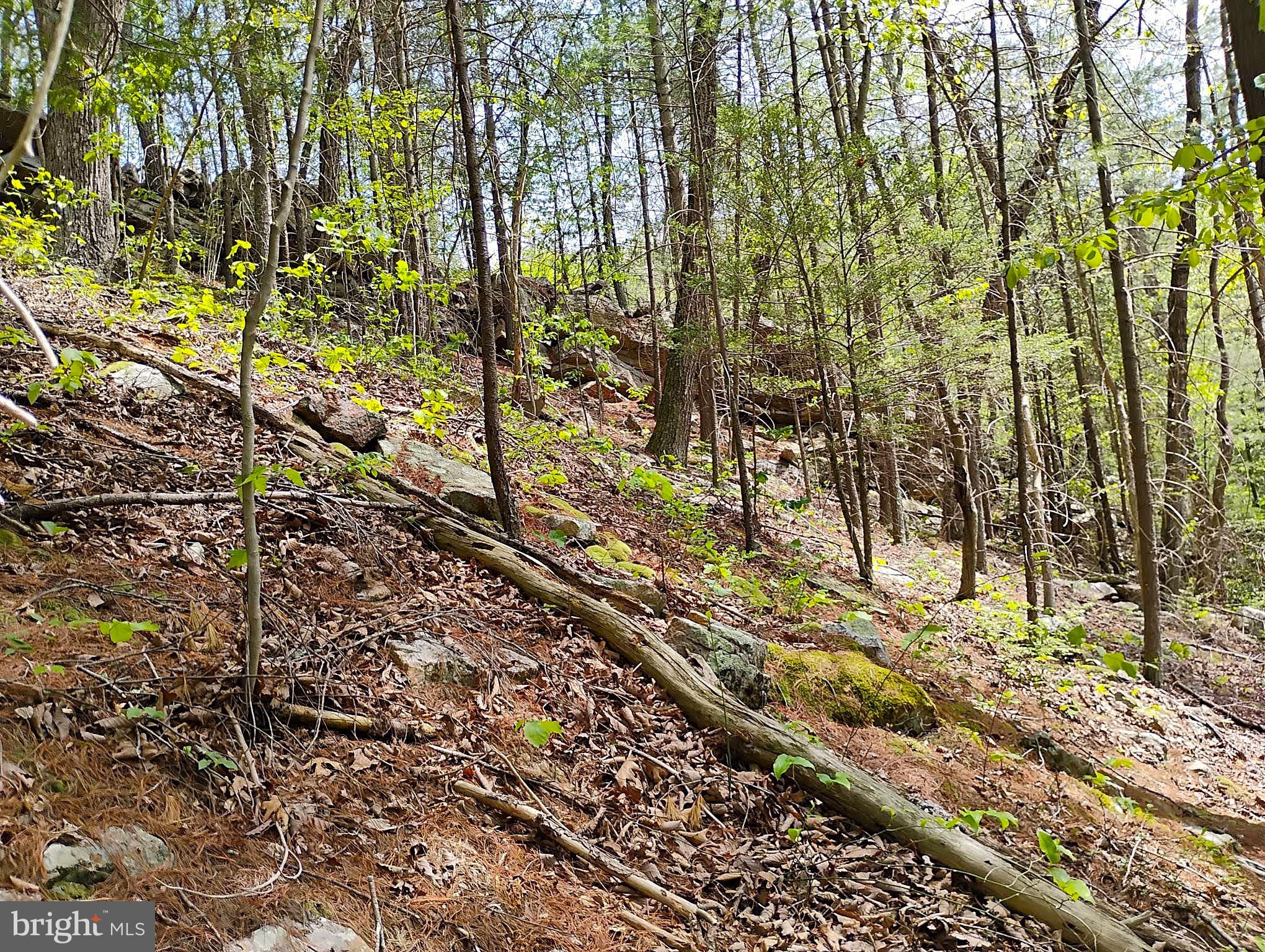 SIR JOHNS RUN RD