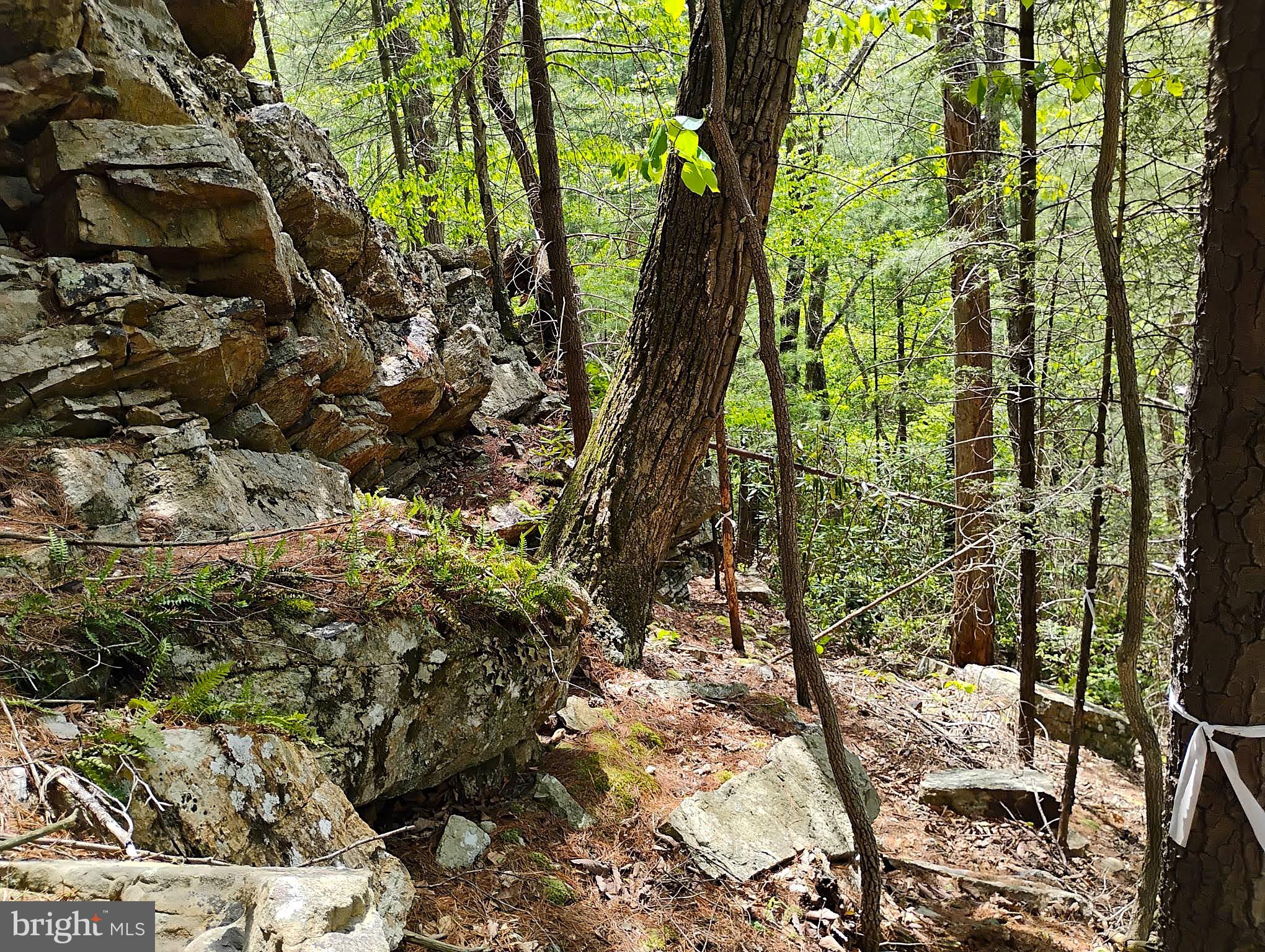SIR JOHNS RUN RD