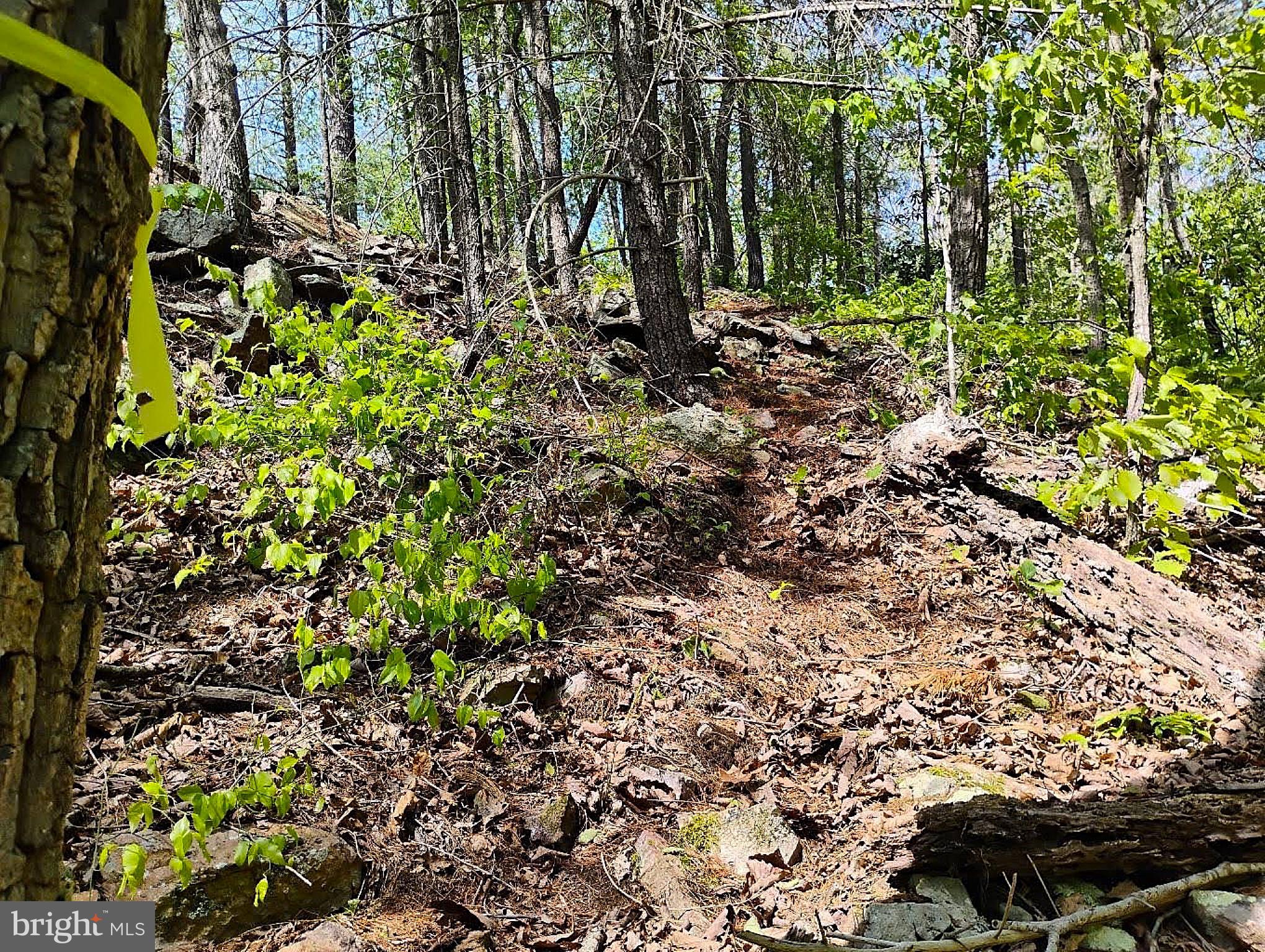 SIR JOHNS RUN RD