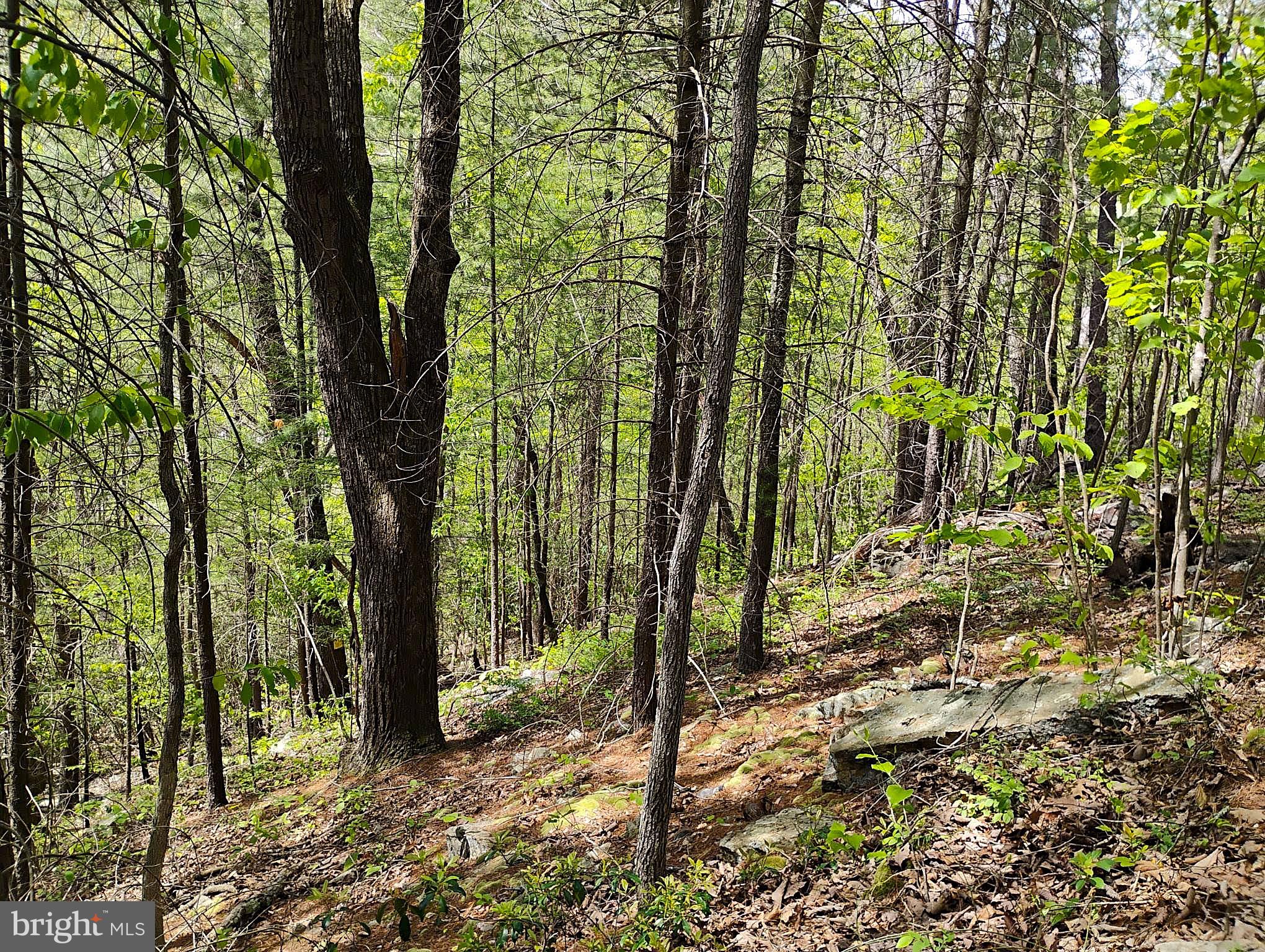 SIR JOHNS RUN RD