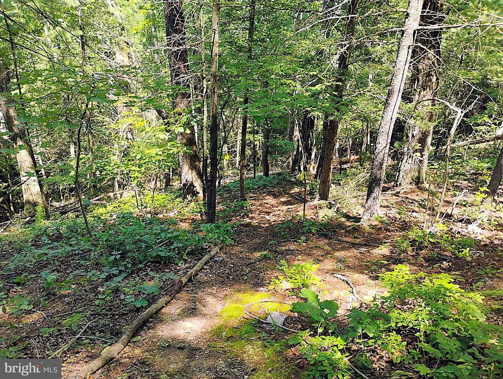 SIR JOHNS RUN RD
