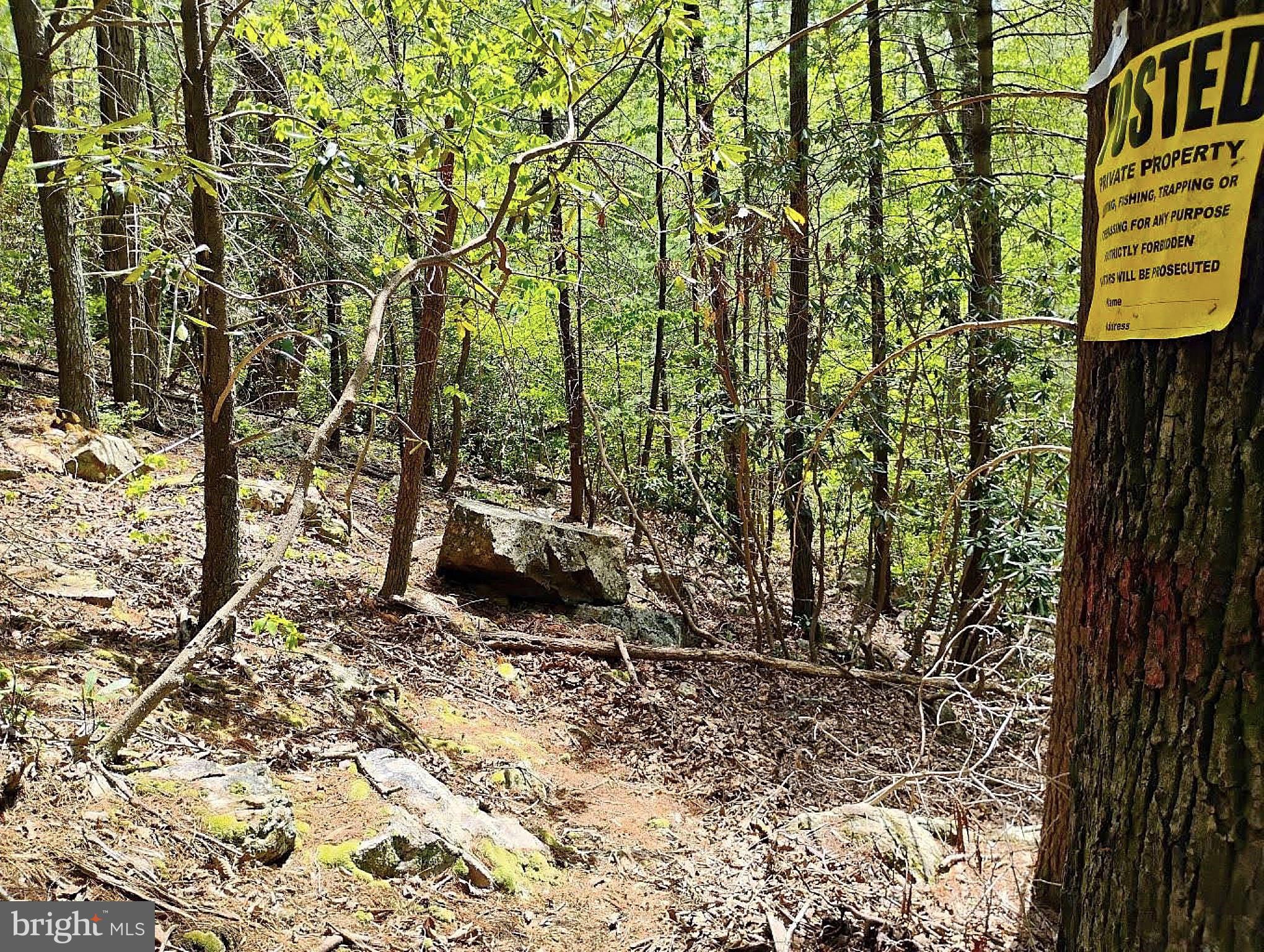 SIR JOHNS RUN RD