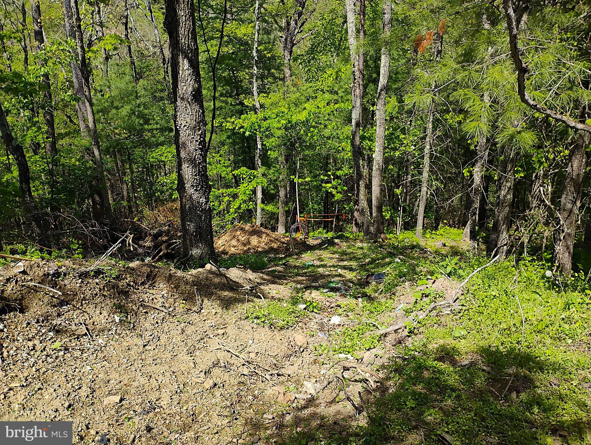 SIR JOHNS RUN RD