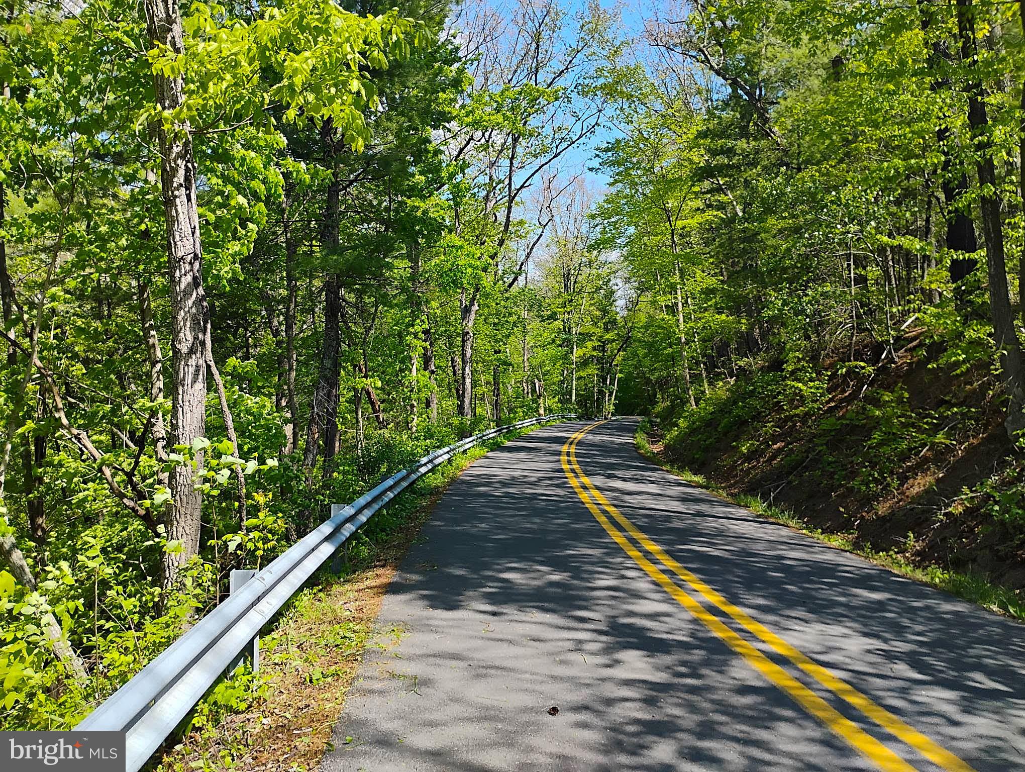 SIR JOHNS RUN RD