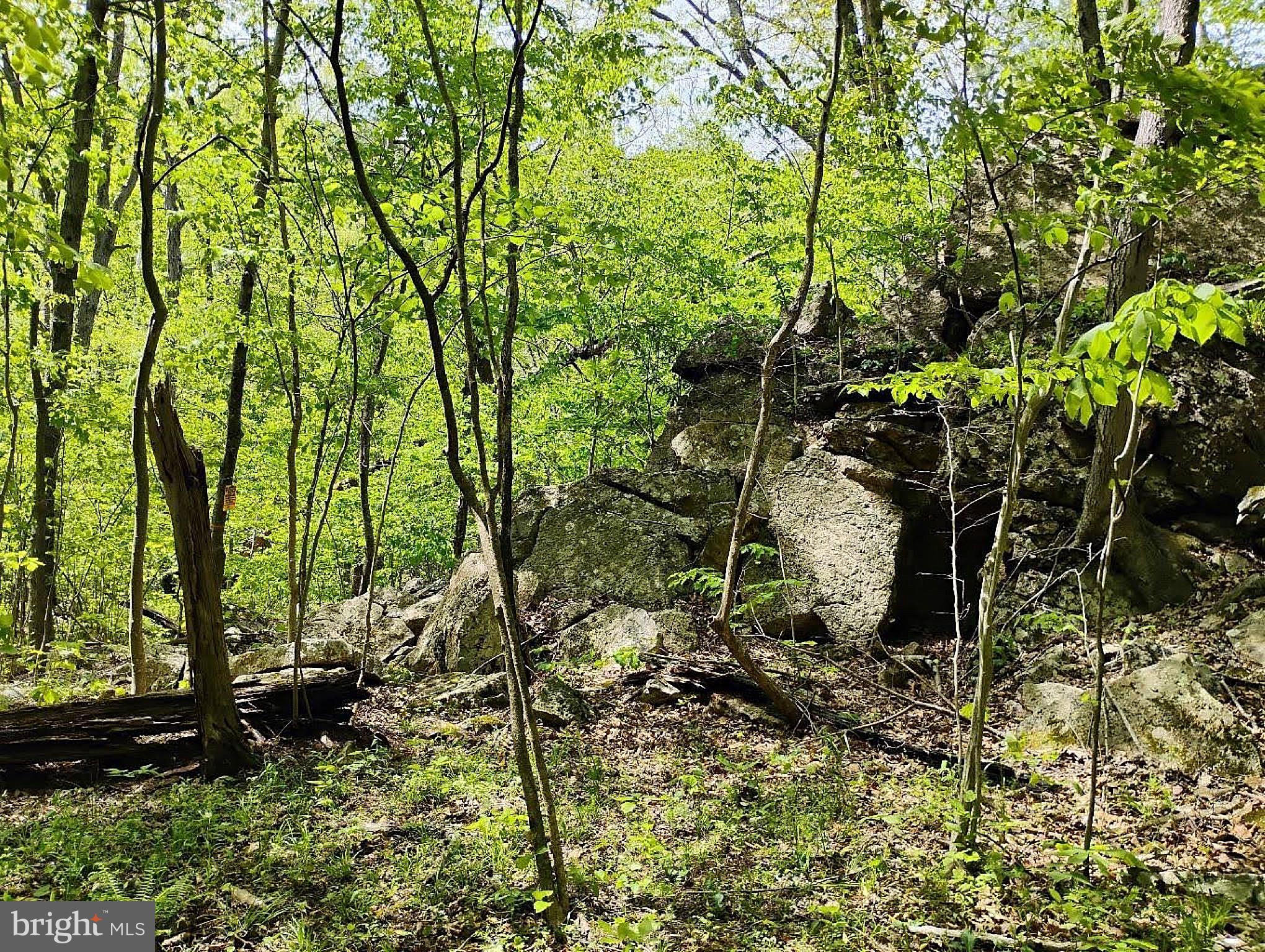 SIR JOHNS RUN RD