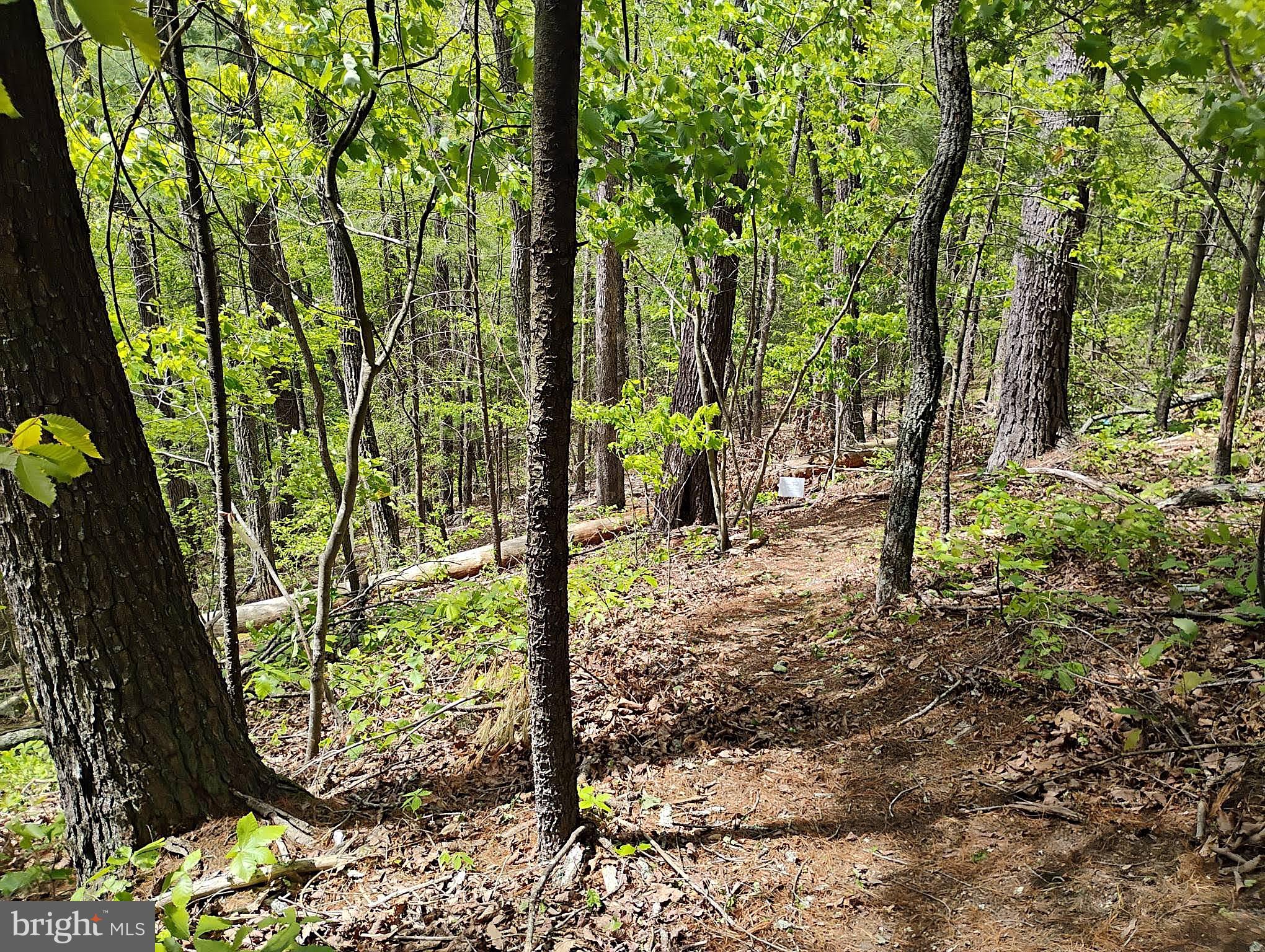 SIR JOHNS RUN RD