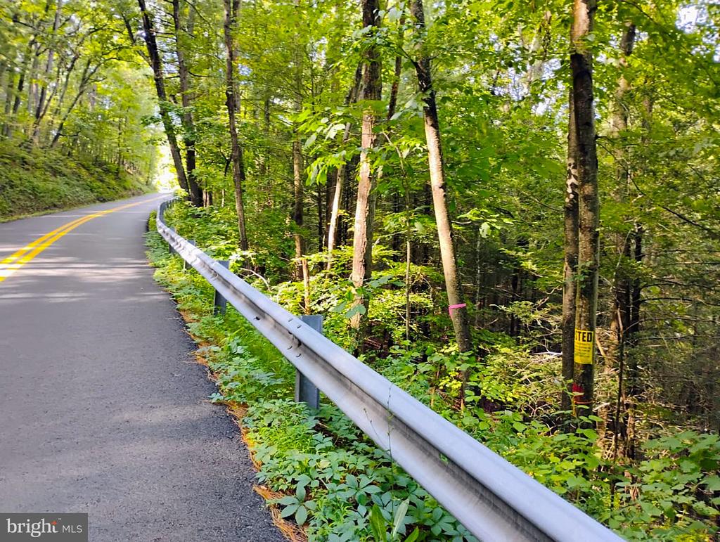 SIR JOHNS RUN RD