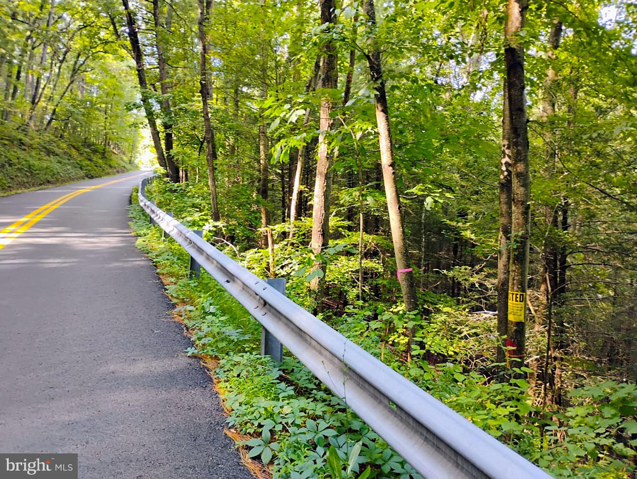 SIR JOHNS RUN RD