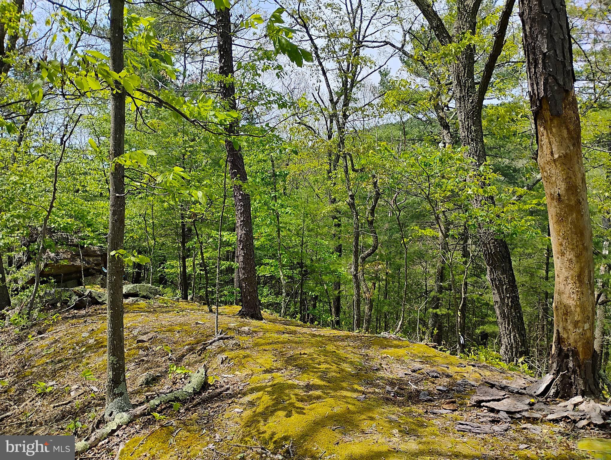 SIR JOHNS RUN RD