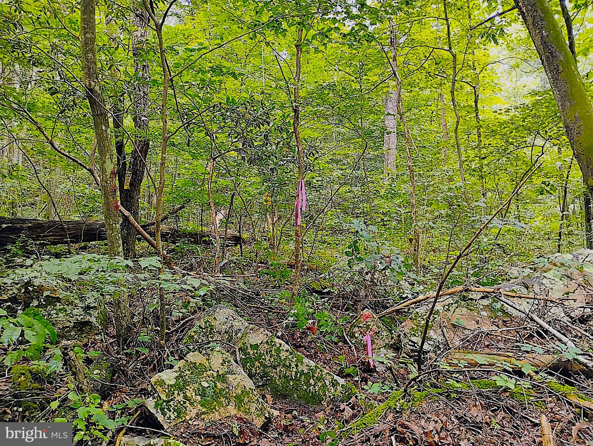 SIR JOHNS RUN RD