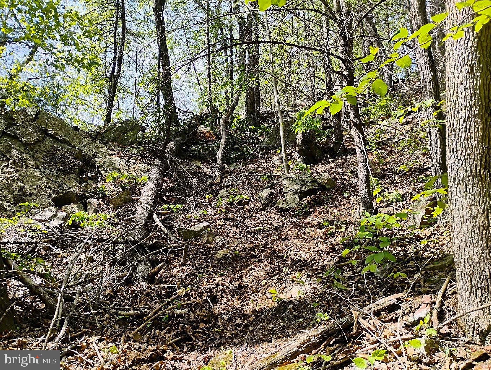 SIR JOHNS RUN RD