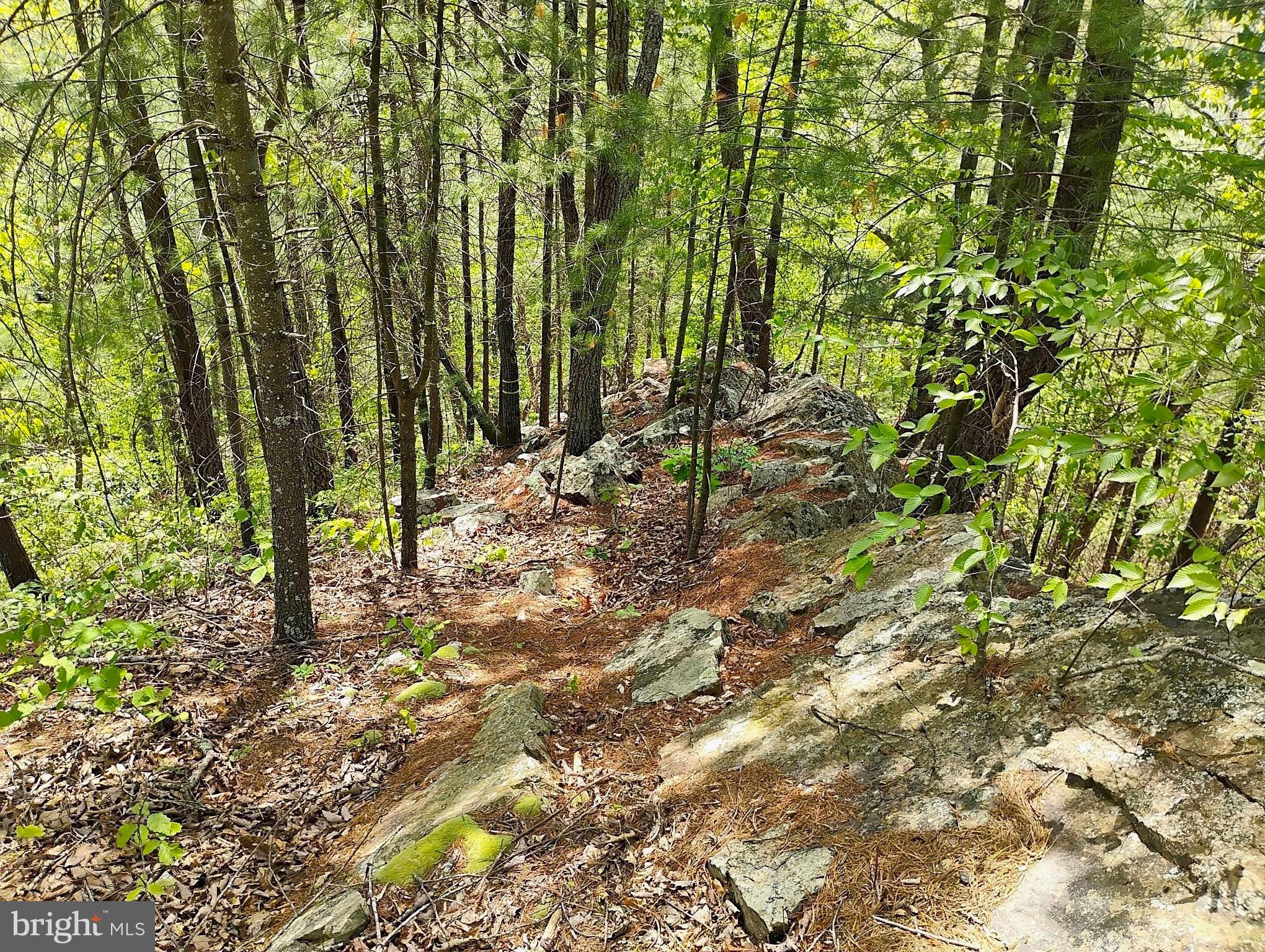 SIR JOHNS RUN RD