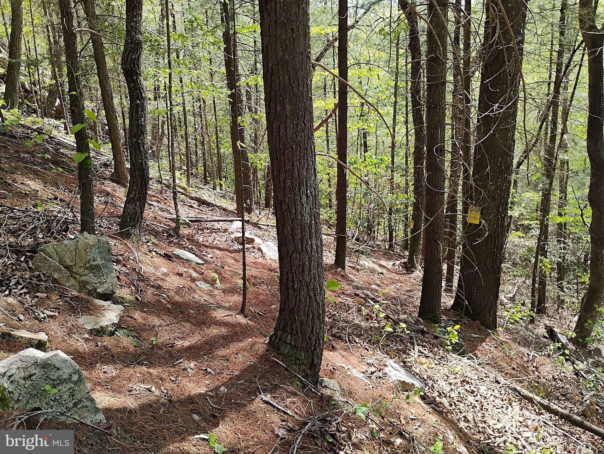 SIR JOHNS RUN RD