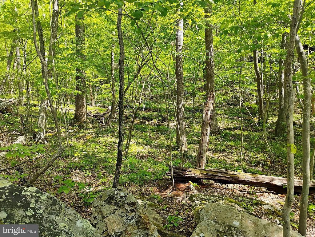 SIR JOHNS RUN RD