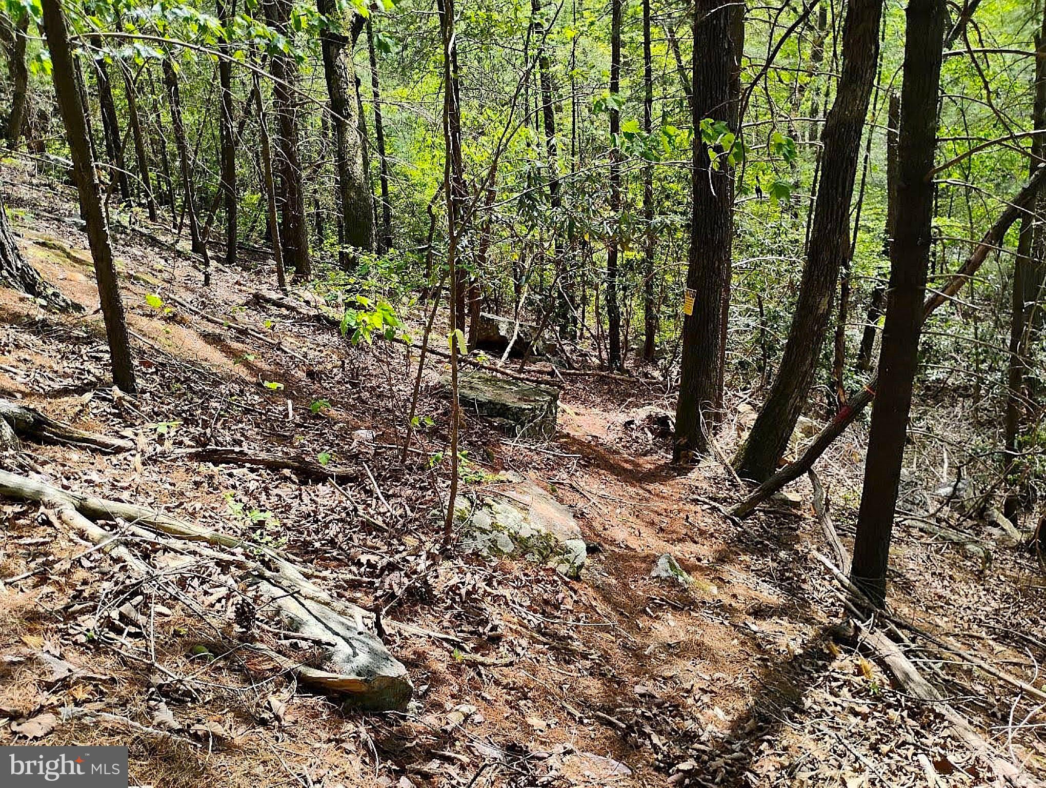 SIR JOHNS RUN RD