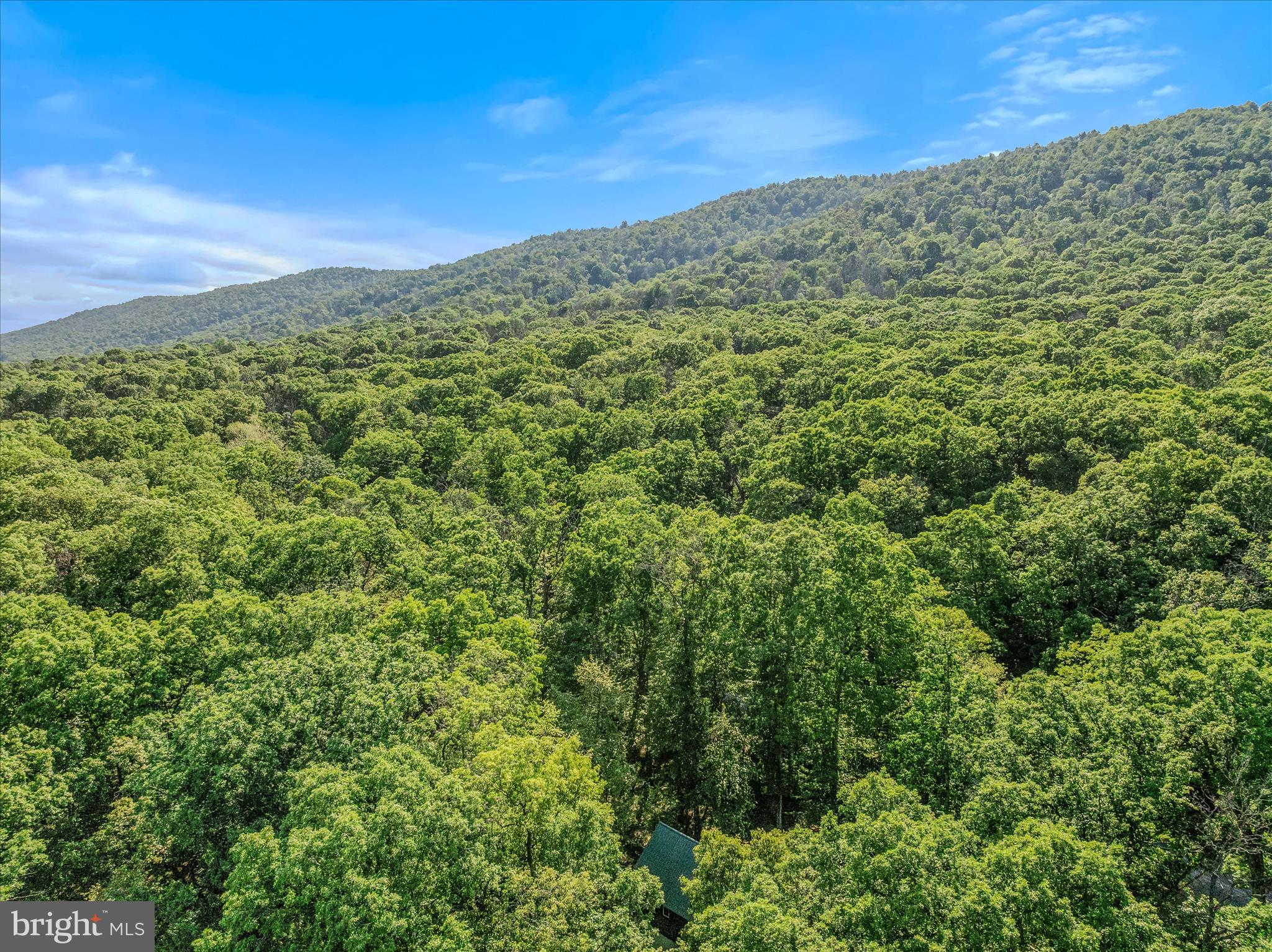 122 HONEY LOCUST LANE