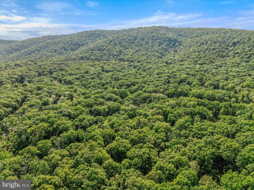 122 HONEY LOCUST LANE