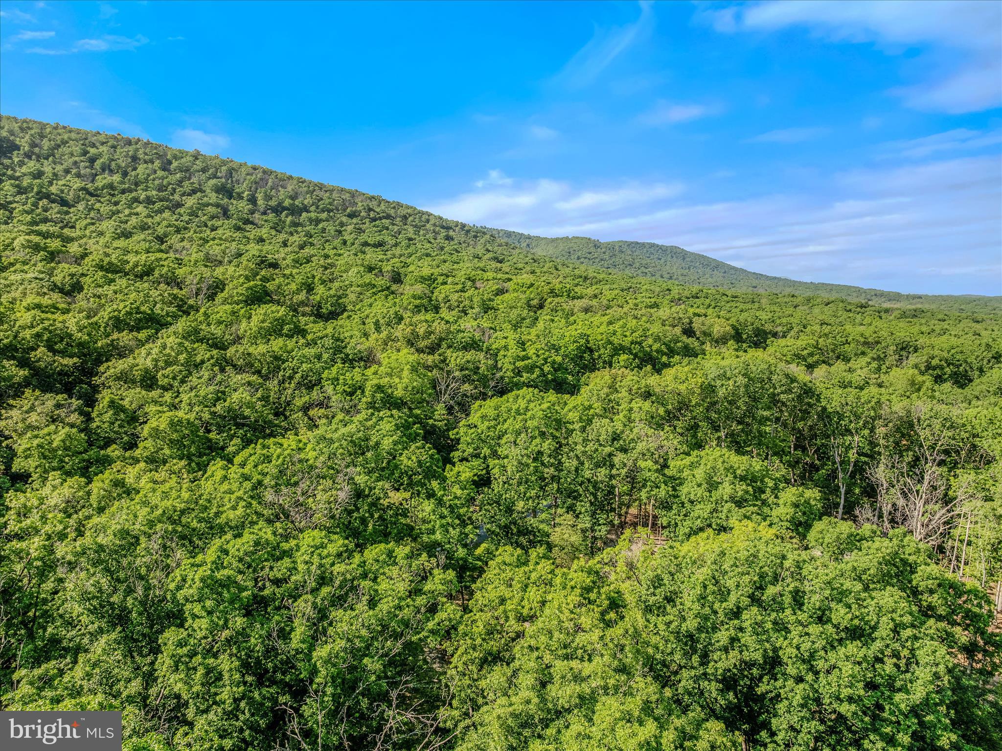 122 HONEY LOCUST LANE