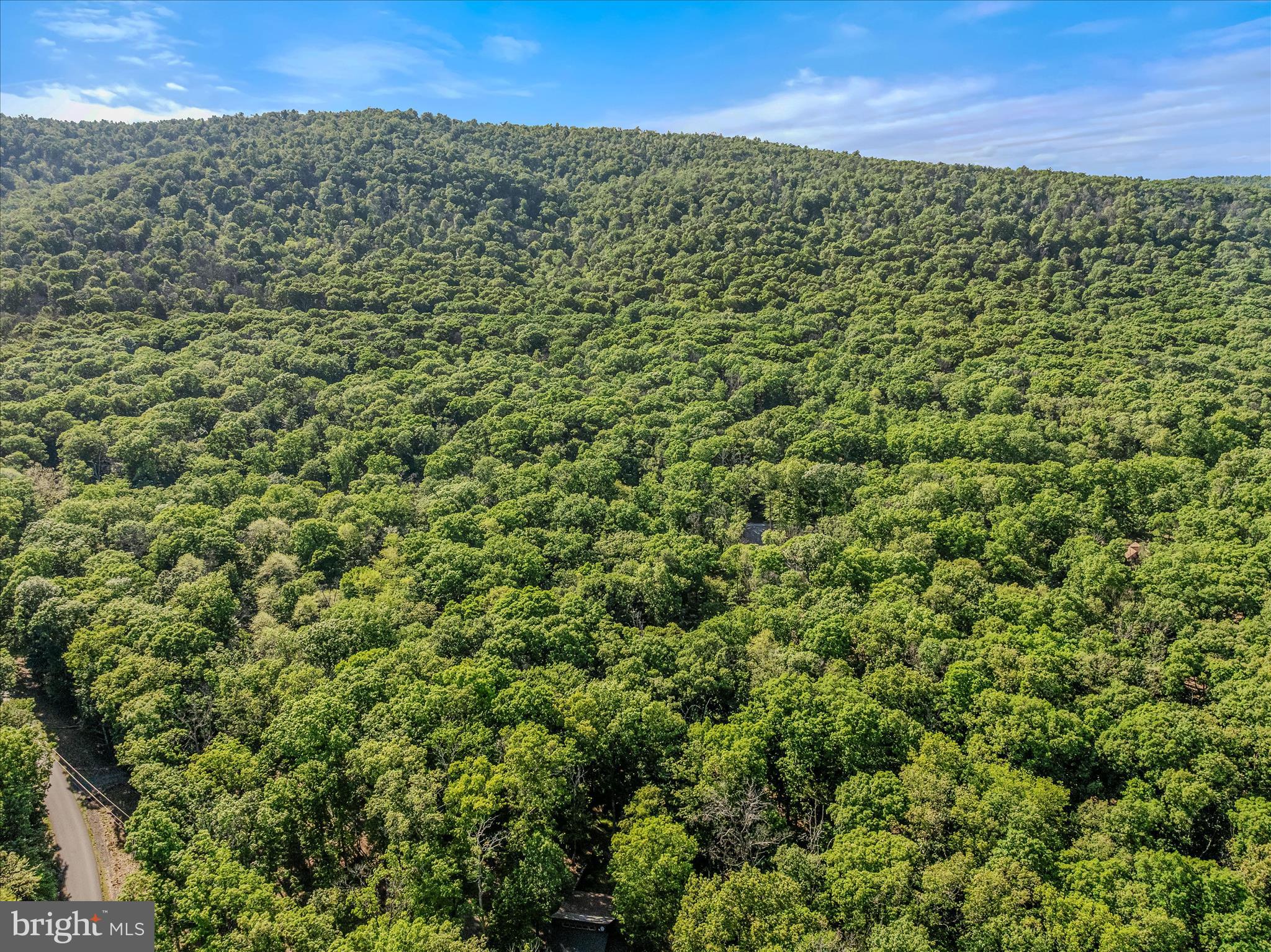 122 HONEY LOCUST LANE