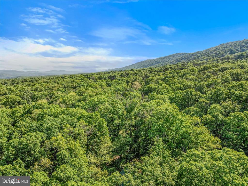 122 HONEY LOCUST LANE