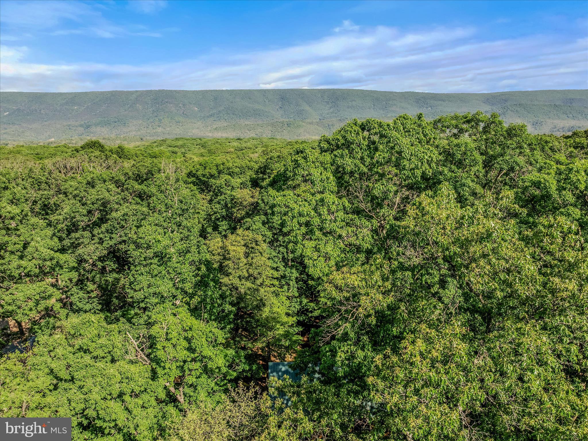 122 HONEY LOCUST LANE