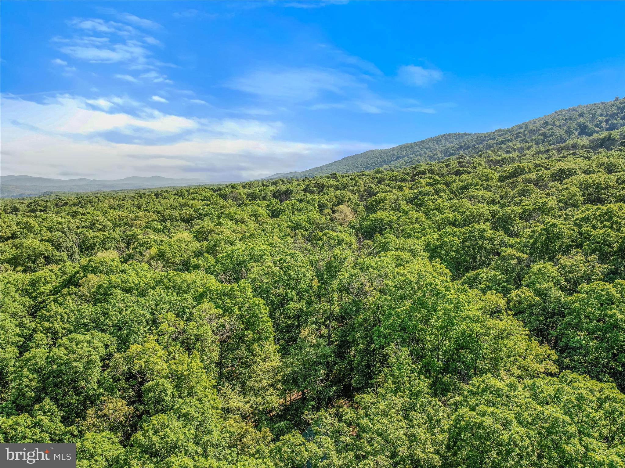 122 HONEY LOCUST LANE