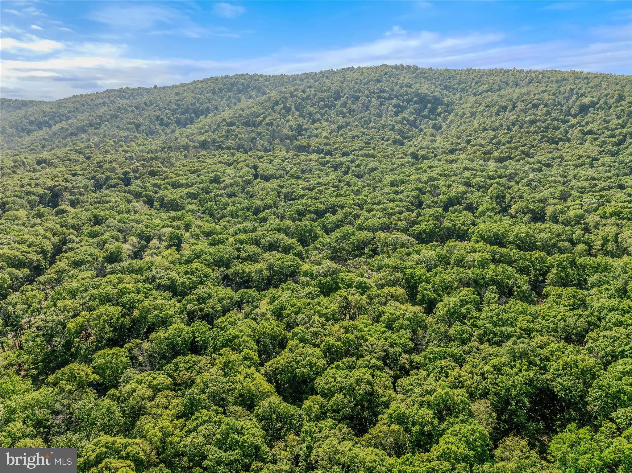122 HONEY LOCUST LANE