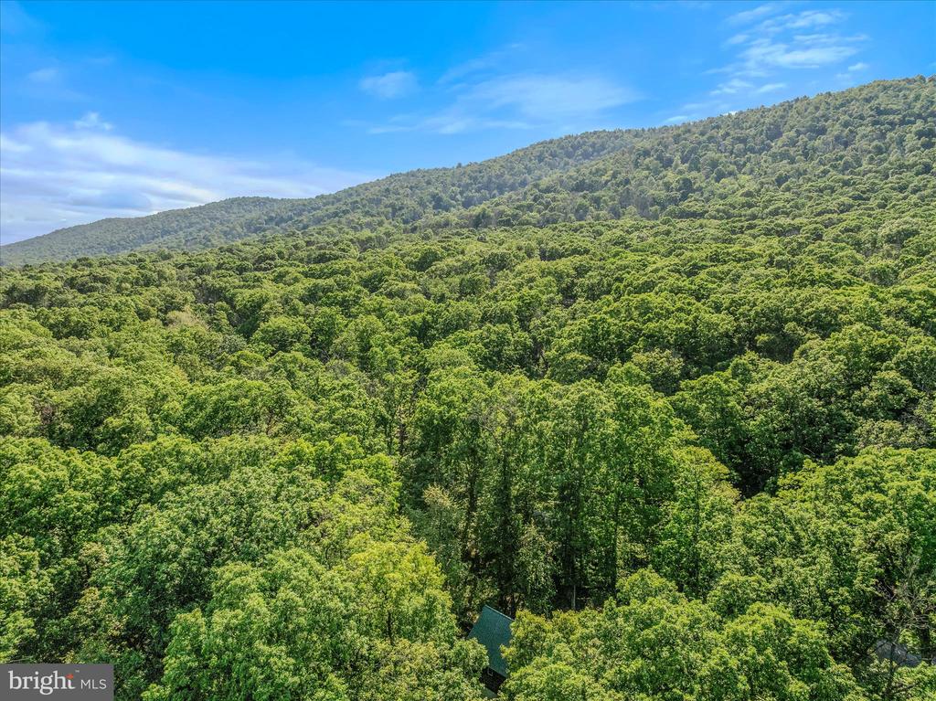 122 HONEY LOCUST LANE