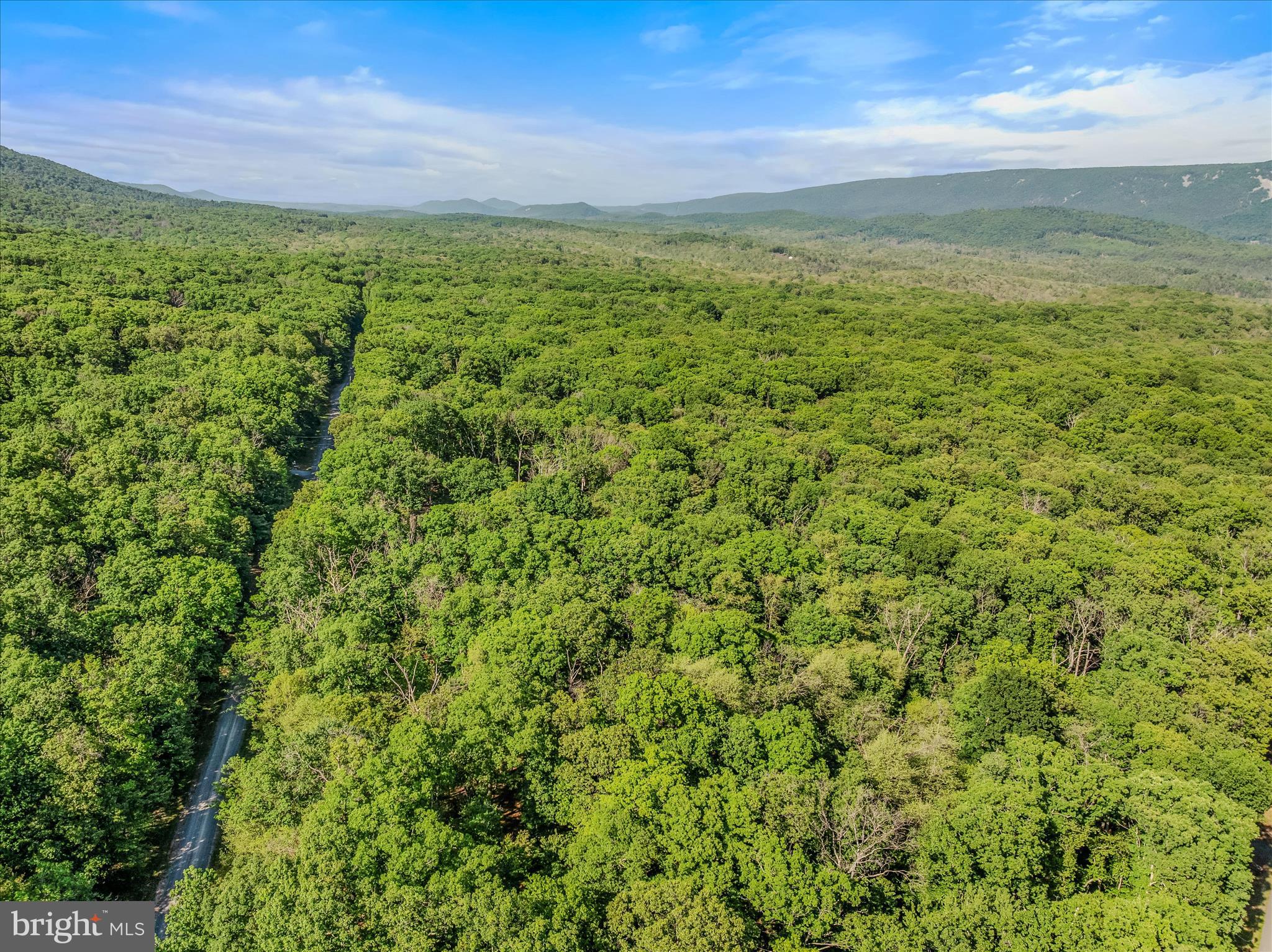 122 HONEY LOCUST LANE