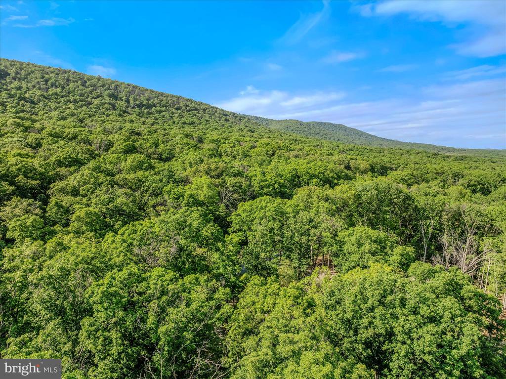 122 HONEY LOCUST LANE