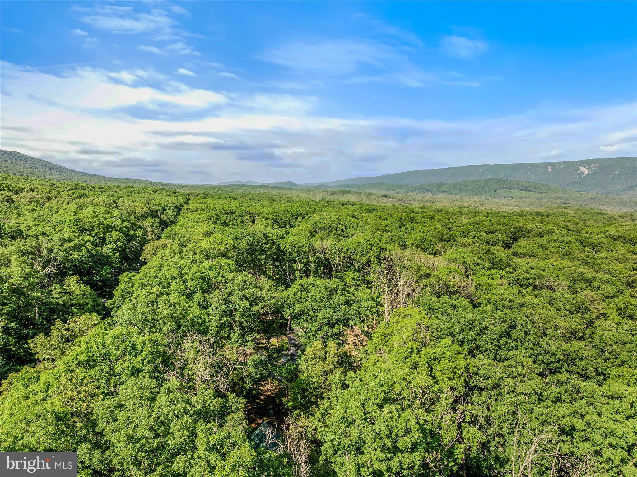 122 HONEY LOCUST LANE