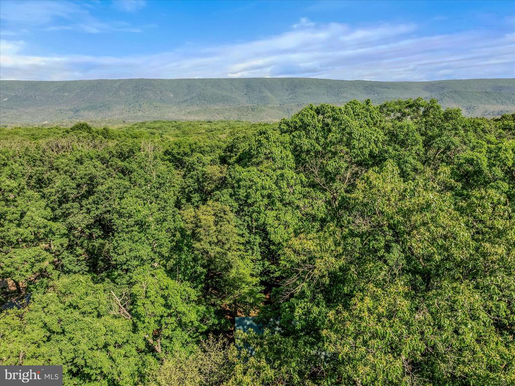 122 HONEY LOCUST LANE
