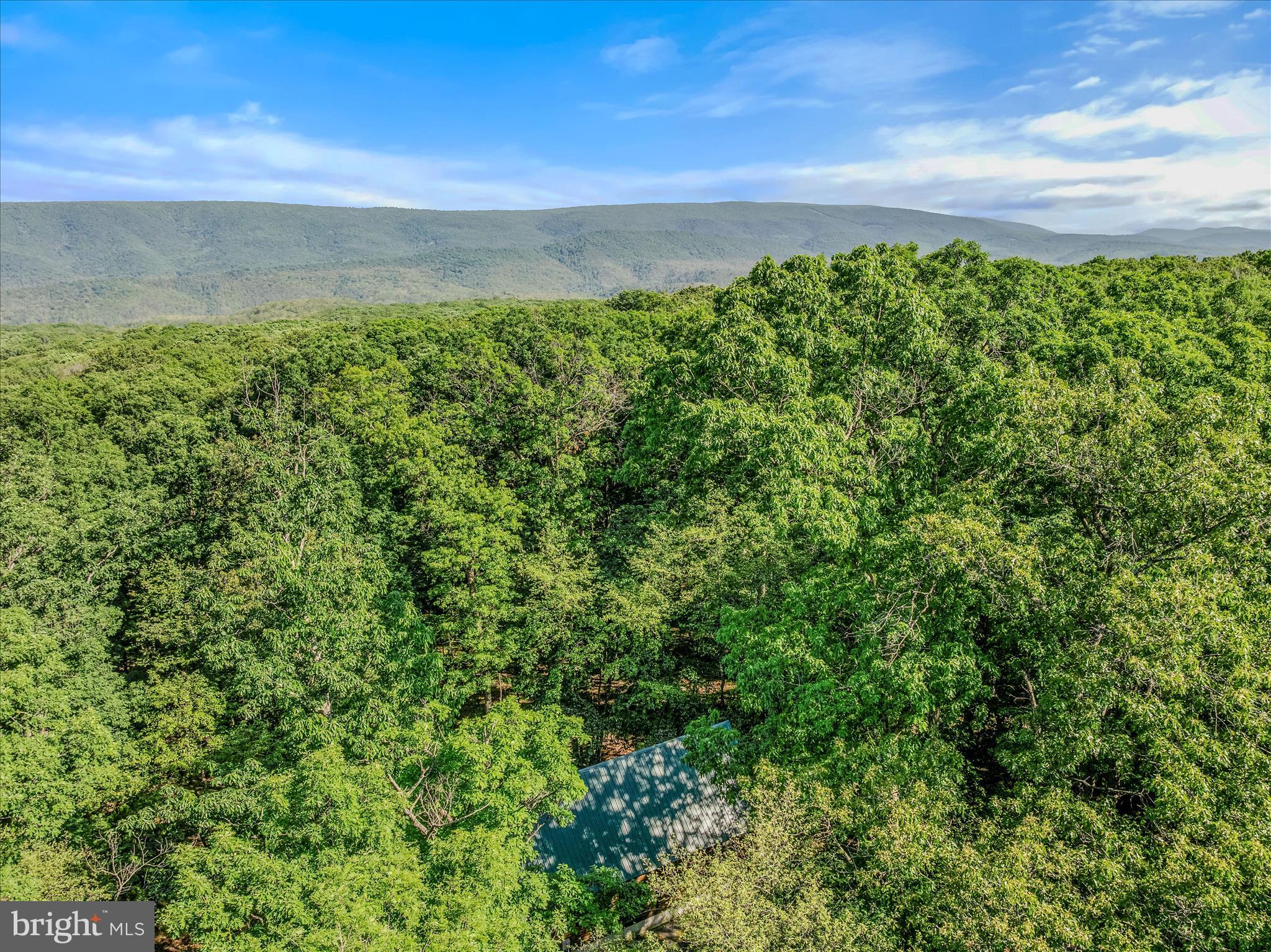 122 HONEY LOCUST LANE
