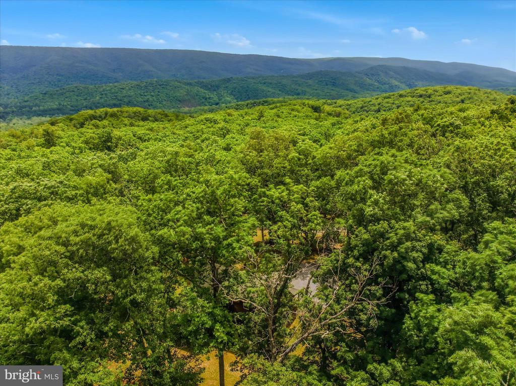 956 SIDELING MOUNTAIN TRAIL