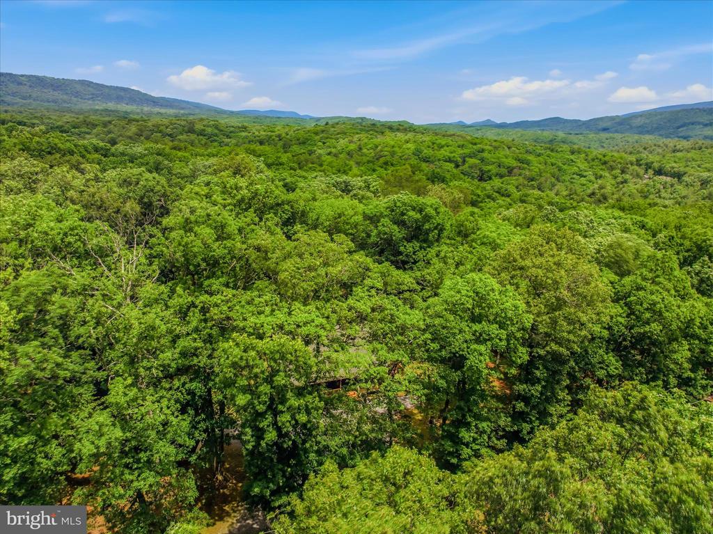 956 SIDELING MOUNTAIN TRAIL