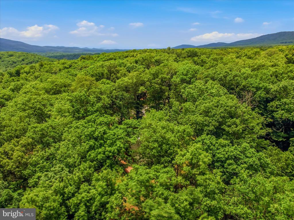 956 SIDELING MOUNTAIN TRAIL