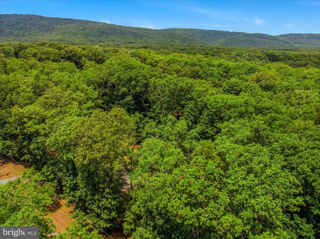 956 SIDELING MOUNTAIN TRAIL